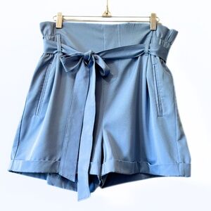 Streetwear Society High-Waisted Shorts Blue Size XL